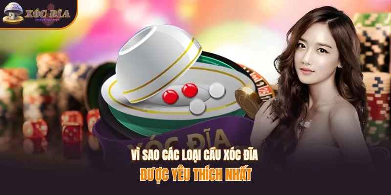 Vì sao các loại cầu xóc đĩa được yêu thích nhất