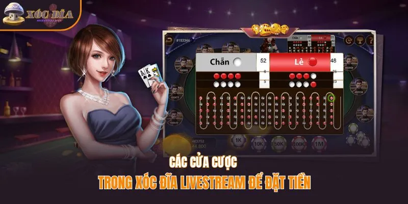 Các cửa cược trong xóc đĩa livestream để đặt tiền